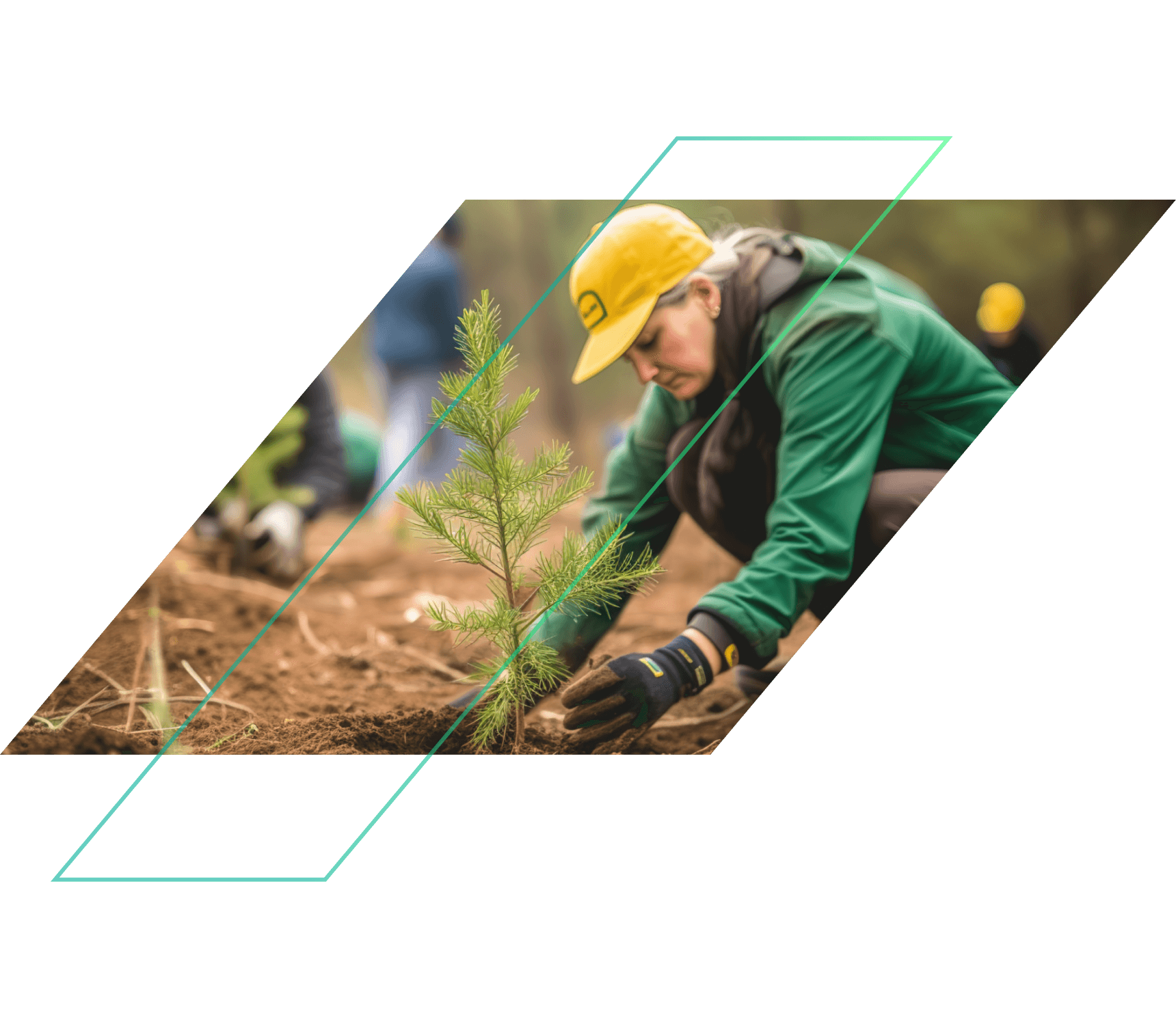 Woman planting a tree